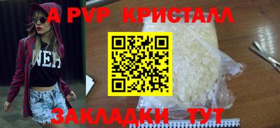 гашик Донецк