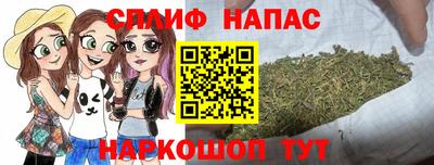 гашик Донецк