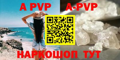 гашик Донецк