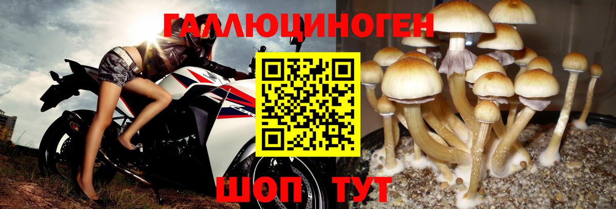 Лысьва  Псилоцибиновые грибы Psilocybe  купить наркоту  Вход с VPN 